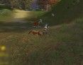 3D-fantasy-mmorpg-mmo-games-perfect-world-kill-tiger-hills-screenshot