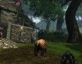 fantasy-mmo-games-dungeons-and-dragons-online-bear-form-screenshot fantasy-mmo-games-dungeons-and-dragons-online-bear-form-screenshot