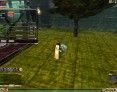 fantasy-mmo-games-knight-online-world-moradon-screenshot