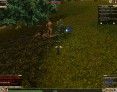 fantasy-mmo-games-knight-online-world-players-screenshot