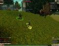 fantasy-mmo-games-knight-online-world-questing-screenshot