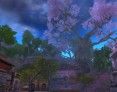 martial-arts-mmo-games-jade-dynasty-city-screenshot martial-arts-mmo-games-jade-dynasty-city-screenshot