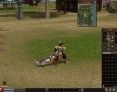 mmo-games-metin2-map-screenshot mmo-games-metin2-map-screenshot