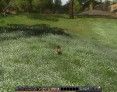 lotro-mmo-games-lord-of-the-rings-online-hobbit-screenshot lotro-mmo-games-lord-of-the-rings-online-hobbit-screenshot