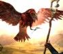 Lord of the Rings Online