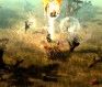 browser-mmo-games-drakensang-combat-screenshot browser-mmo-games-drakensang-combat-screenshot