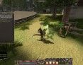 fantasy-mmorpg-mmo-r2-online-dragon-mount fantasy-mmorpg-mmo-r2-online-dragon-mount