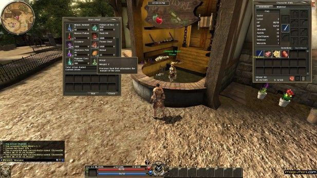 fantasy-mmorpg-mmo-r2-online-store-buy-screenshot fantasy-mmorpg-mmo-r2-online-store-buy-screenshot