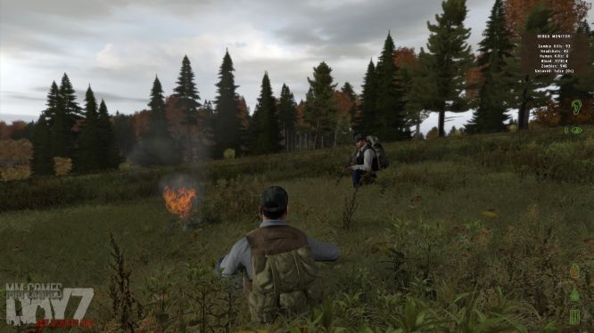 mmo-games-dayz-beginners-guide-field-campfire-screenshot