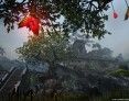 fantasy-mmo-games-elder-scrolls-online-flower-screenshot
