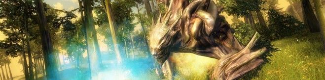 fantasy-mmo-games-guild-wars-2-oakheart-screenshot