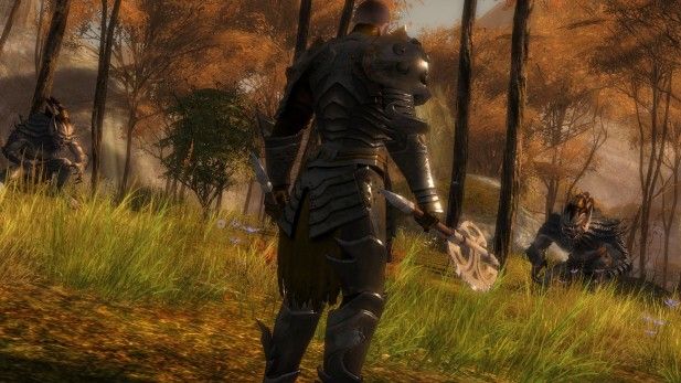 fantasy-mmo-games-guild-wars-2-warrior-combat-screenshot fantasy-mmo-games-guild-wars-2-warrior-combat-screenshot