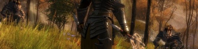 fantasy-mmo-games-guild-wars-2-warrior-combat-screenshot