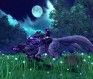 raiderz