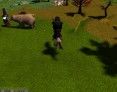 mmo-games-salem-horse-screenshot