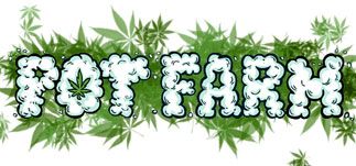 pot_farm_list_323x151