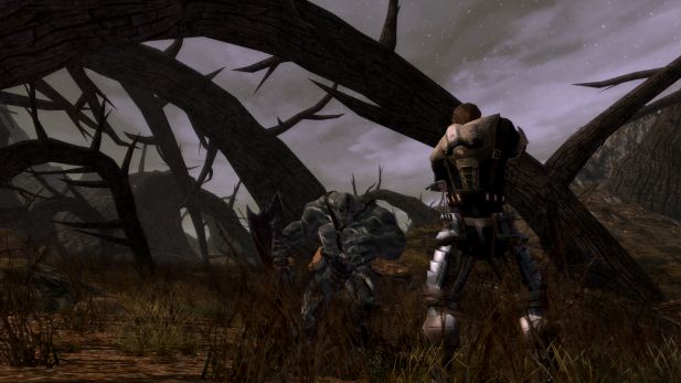 sandbox-mmo-games-the-repopulation-combat-screenshot