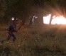 DayZ