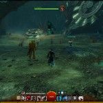 fantasy-mmorpg-mmo-games-guild-wars-2-arah-final-dungeon-zhaitan-fight (32)