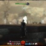 fantasy-mmorpg-mmo-games-guild-wars-2-gw2-screenshot (108)