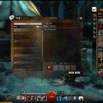 fantasy-mmorpg-mmo-games-guild-wars-2-gw2-screenshot (234)