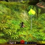 fantasy-mmorpg-mmo-games-guild-wars-2-gw2-screenshot (6)