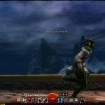 fantasy-mmorpg-mmo-games-guild-wars-2-gw2-screenshot (63)
