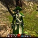 fantasy-mmorpg-mmo-games-guild-wars-2-gw2-screenshot (67)