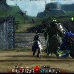 fantasy-mmorpg-mmo-games-guild-wars-2-gw2-screenshot (73)