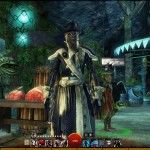 fantasy-mmorpg-mmo-games-guild-wars-2-gw2-screenshot (79)