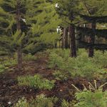 zombie-mmo-games-dayz-celle-screenshot (45) zombie-mmo-games-dayz-celle-screenshot (45)