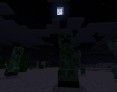 minecraft_screenshot_2