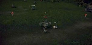 fantasy-mmo-games-tera-rising-pets-screenshot (5)