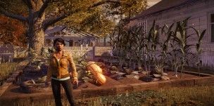 zombie-mmo-games-state-of-decay-garden-screenshot