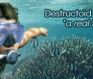 world of diving header