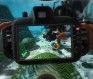 World of Diving Screenshot