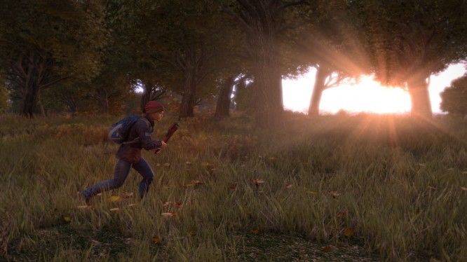 DayZ_running