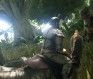 ARK: Survival Evolved Xbox Servers