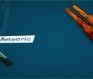 Paladins Weapon Skins