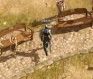 Lost Ark beta