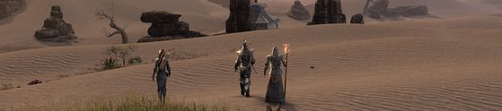 Elder Scrolls Desert Banner