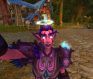Warcraft's Wonderful Wardrobe