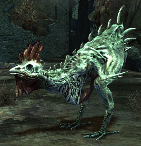 risen chicken