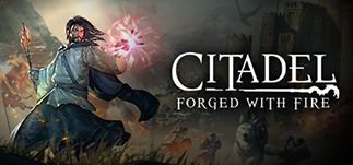Citadel: Forged With Fire