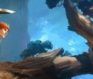 albion online mmo aggregate