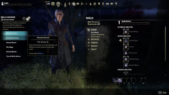 skills advisor