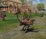 Lineage II - NCSoft Master Accounts To Be Deleted - MMOGames.com - Your source for MMOs & MMORPGs