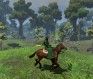 age conan riding horse mmogames