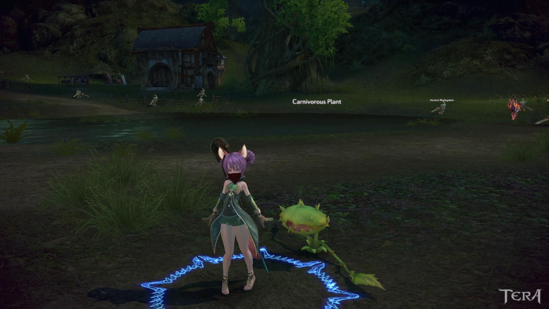 Tera Pets List – Tera ペットパートナー 入手方法 – FQFHTV
