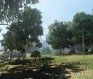 Black Desert